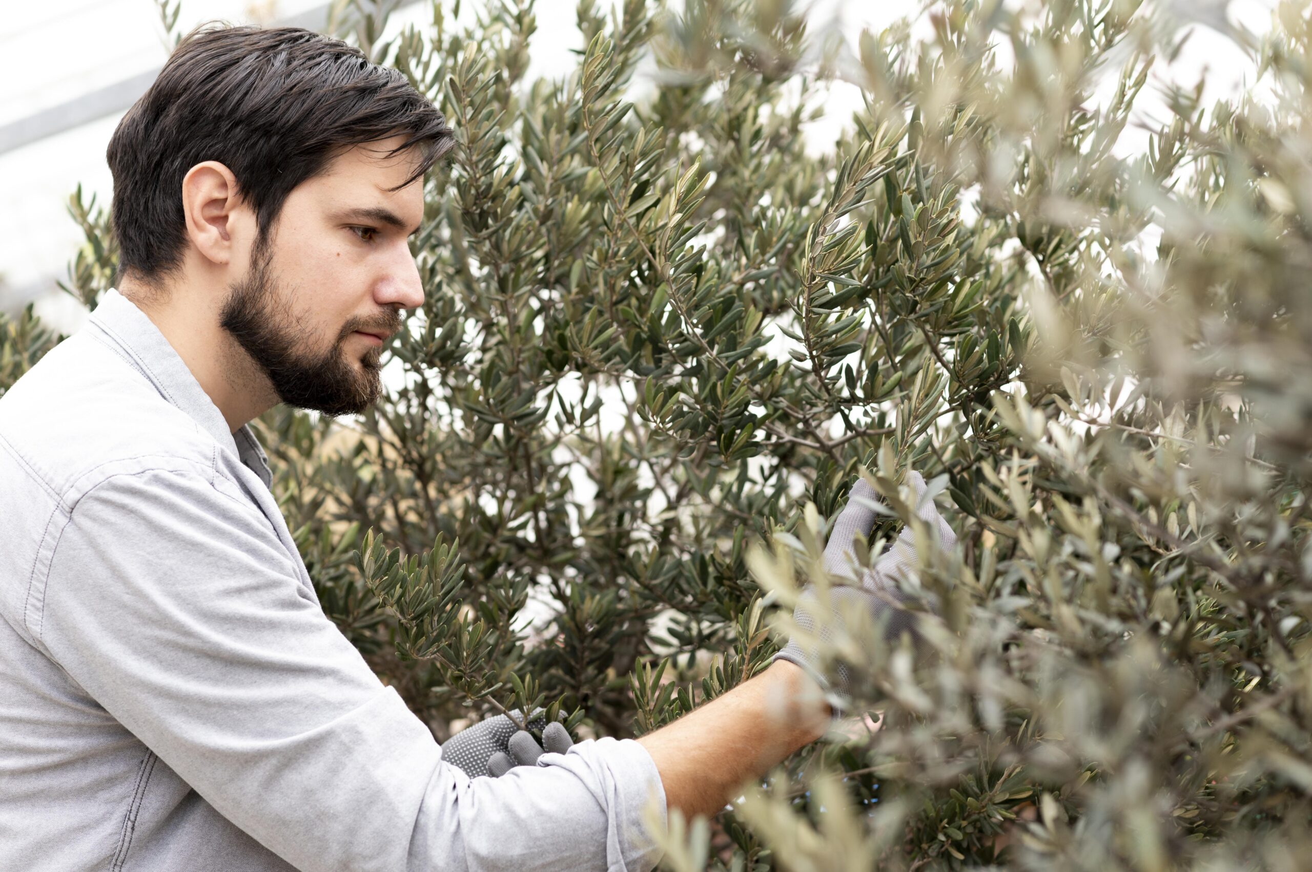 portrait-man-growing-plants